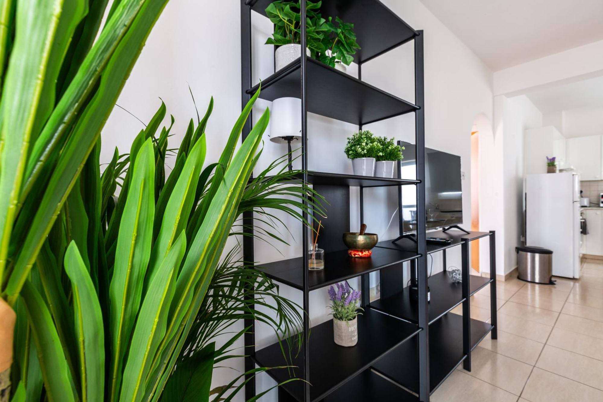 Beautiful 2 Bed Apartment In Paphos Cyprus Zewnętrze zdjęcie